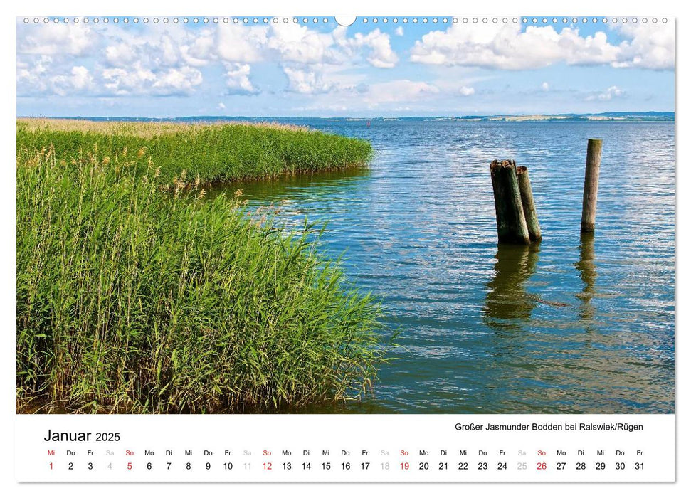 Rügen und Hiddensee (CALVENDO Premium Wandkalender 2025)