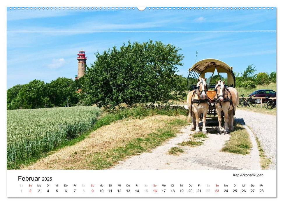 Rügen und Hiddensee (CALVENDO Premium Wandkalender 2025)