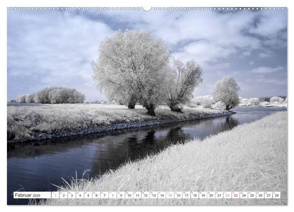 Zauberhafte Infrarot-Fotografie (CALVENDO Premium Wandkalender 2025)