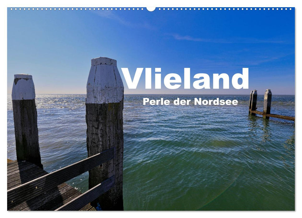 Vlieland Perle an der Nordsee (CALVENDO Wandkalender 2025)