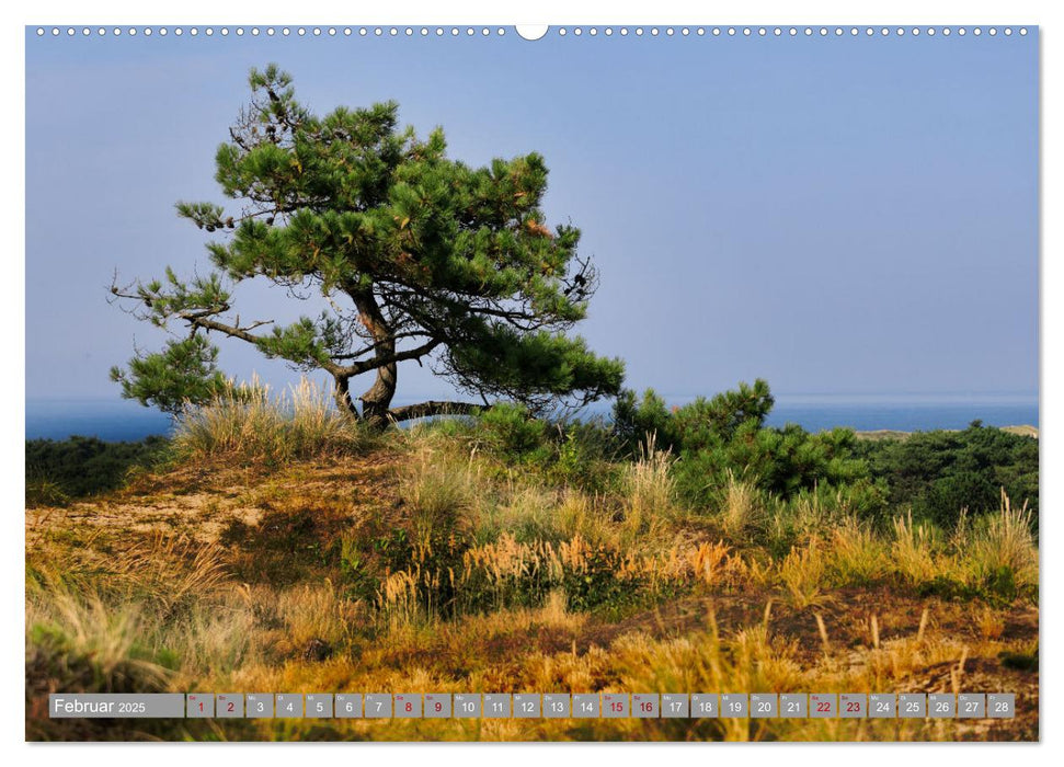 Vlieland Perle an der Nordsee (CALVENDO Wandkalender 2025)