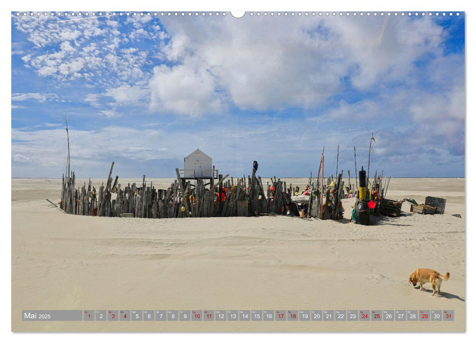 Vlieland Perle an der Nordsee (CALVENDO Wandkalender 2025)