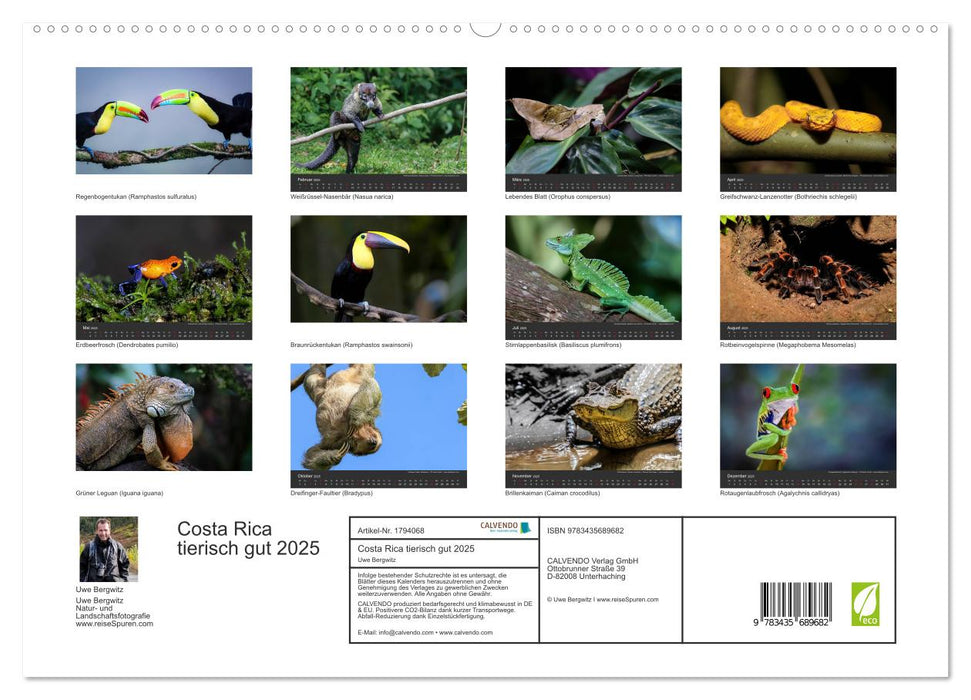 Costa Rica tierisch gut 2025 (CALVENDO Premium Wandkalender 2025)