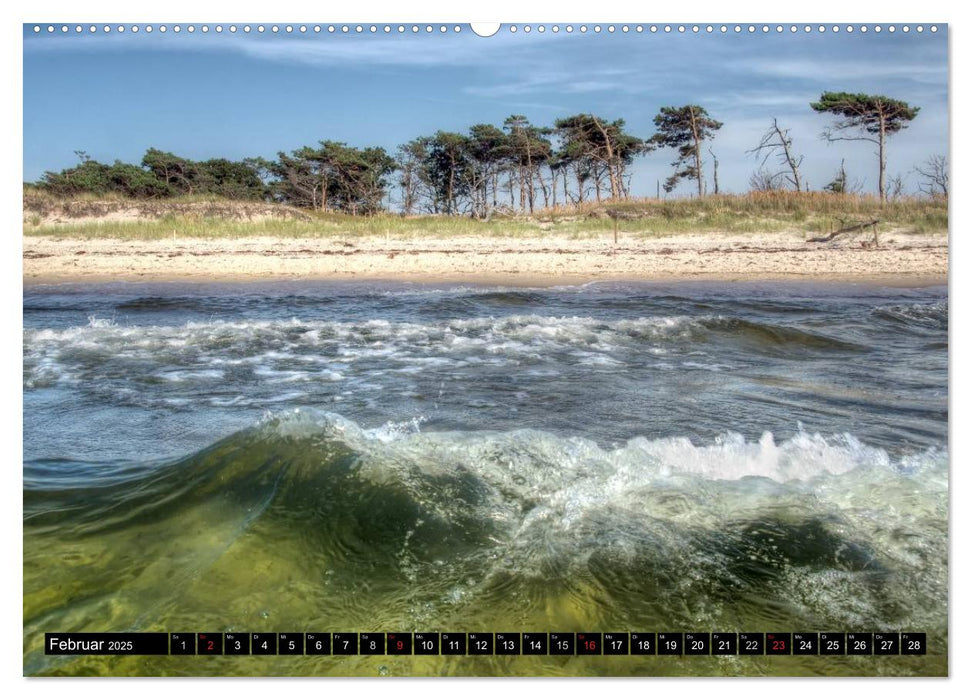 Fischland Darß Zingst – Die Halbinsel an der Ostsee (CALVENDO Premium Wandkalender 2025)