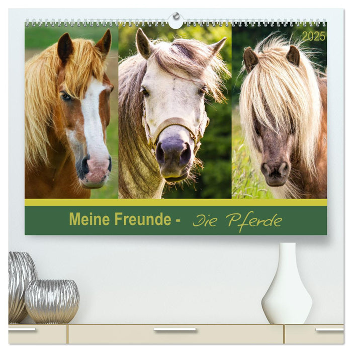 Meine Freunde - die Pferde (CALVENDO Premium Wandkalender 2025)