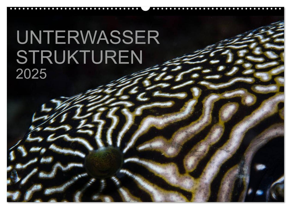 Unterwasser Strukuren (CALVENDO Wandkalender 2025)