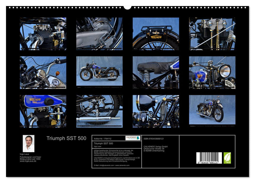 Triumph SST 500 (CALVENDO Premium Wandkalender 2025)