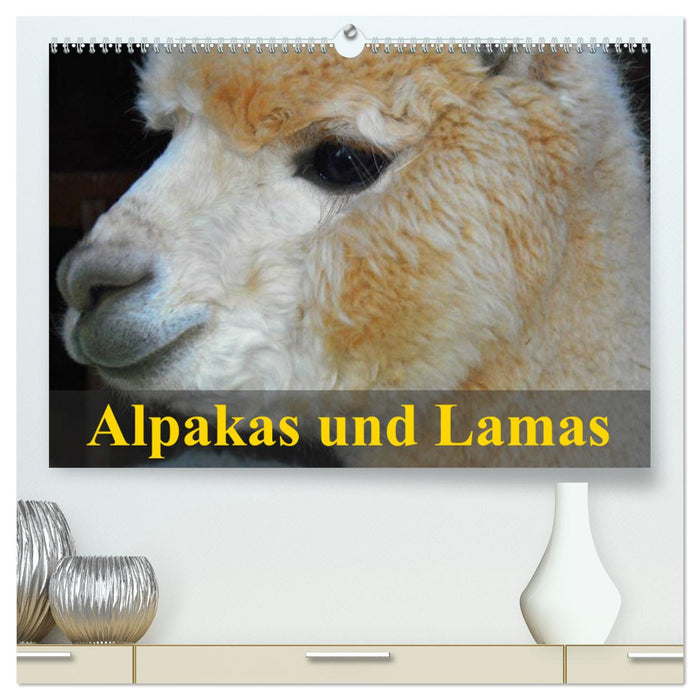 Alpakas und Lamas (CALVENDO Premium Wandkalender 2025)