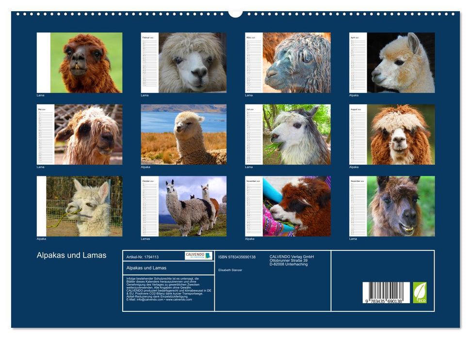 Alpakas und Lamas (CALVENDO Premium Wandkalender 2025)