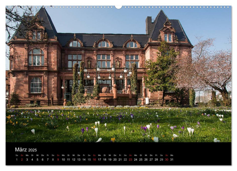 Heidelberger Stadtansichten (CALVENDO Premium Wandkalender 2025)