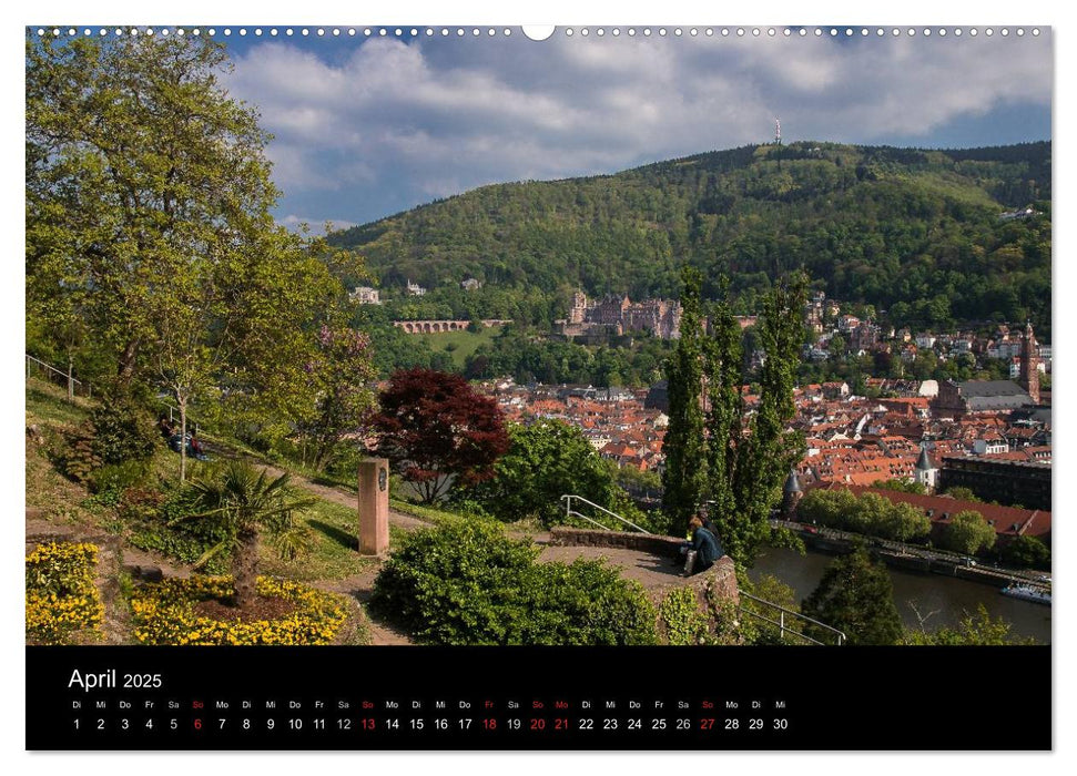 Heidelberger Stadtansichten (CALVENDO Premium Wandkalender 2025)