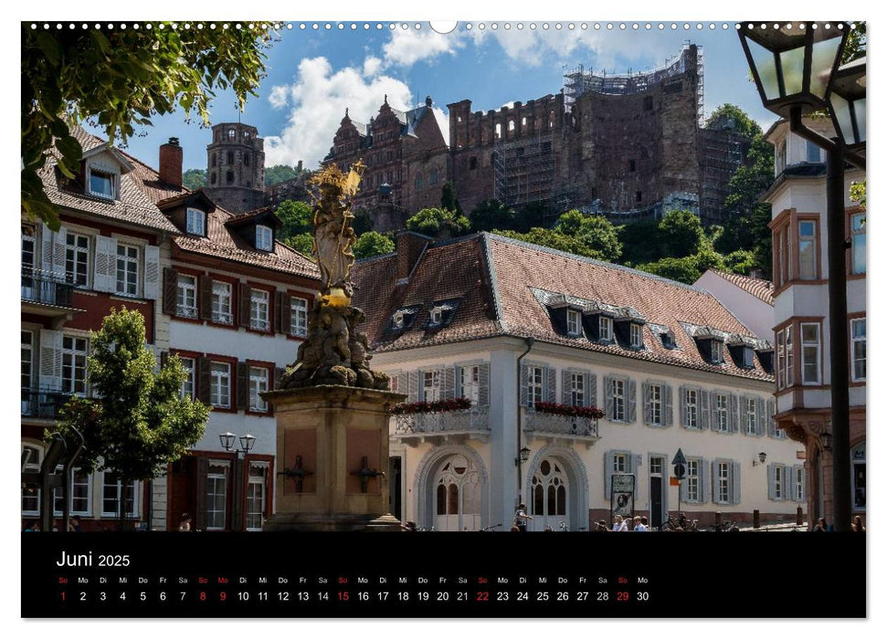 Heidelberger Stadtansichten (CALVENDO Premium Wandkalender 2025)