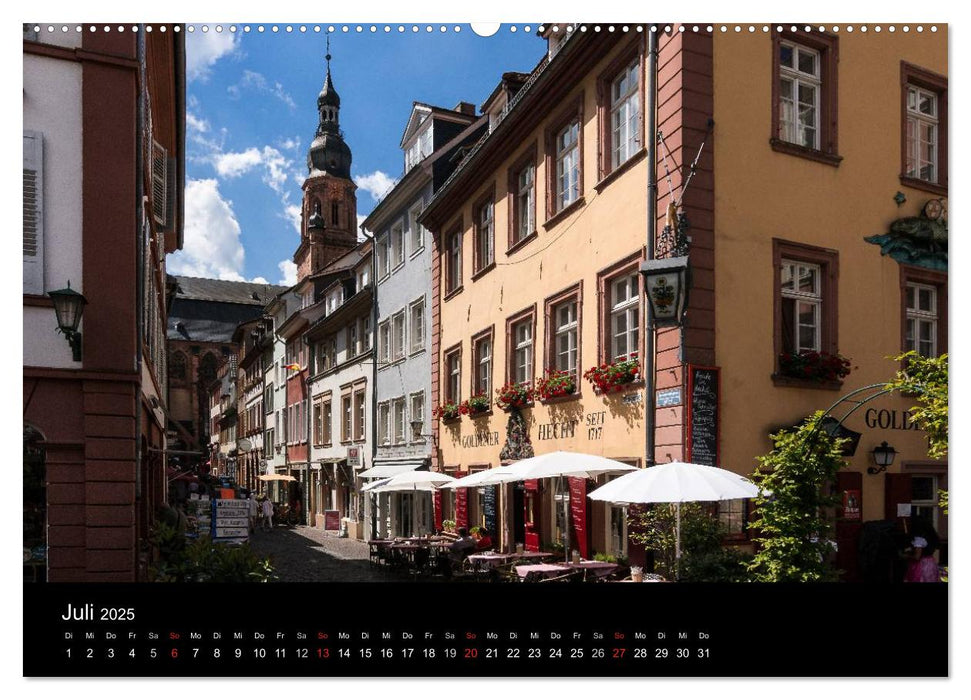 Heidelberger Stadtansichten (CALVENDO Premium Wandkalender 2025)