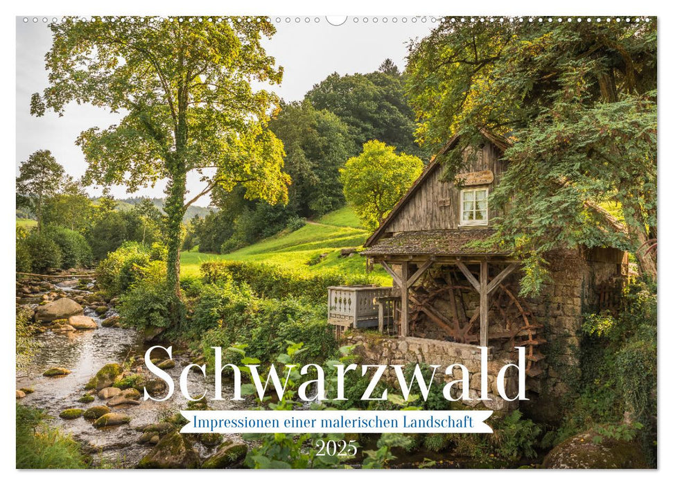 Schwarzwald (CALVENDO Wandkalender 2025)