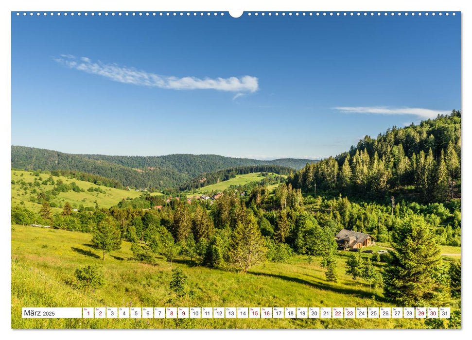 Schwarzwald (CALVENDO Wandkalender 2025)