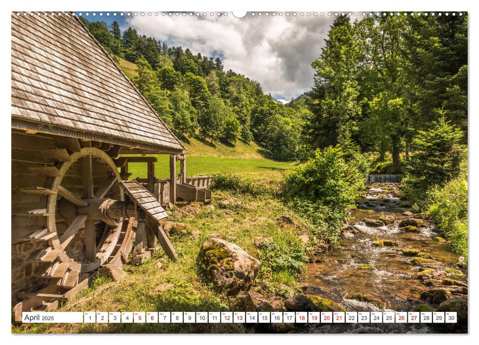 Schwarzwald (CALVENDO Wandkalender 2025)