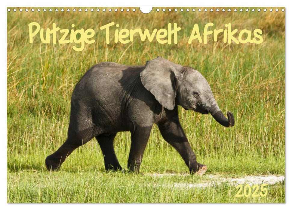 Putzige Tierwelt Afrikas (CALVENDO Wandkalender 2025)