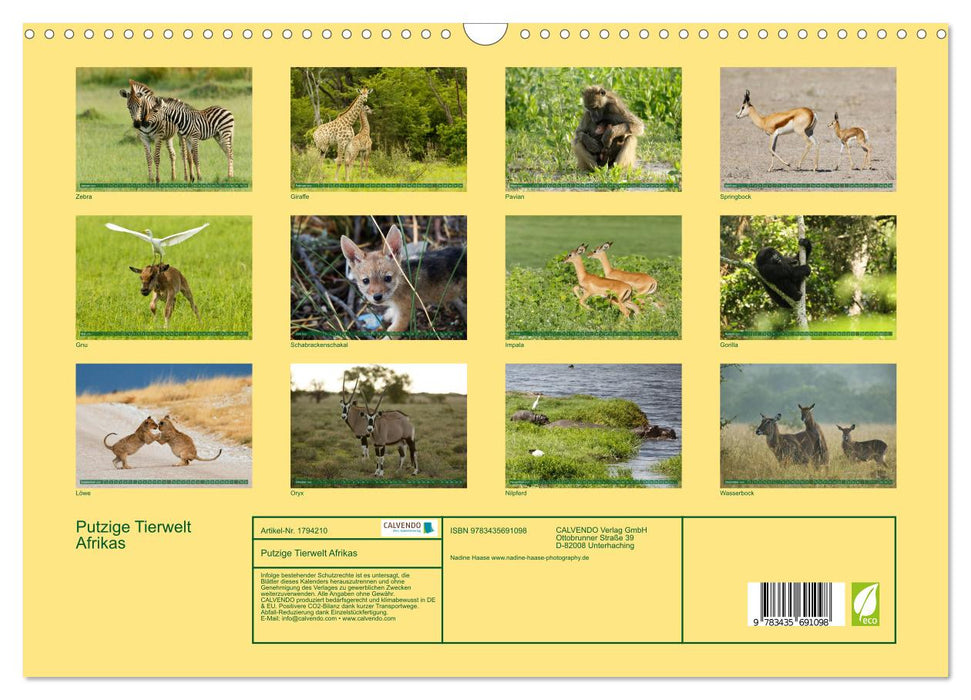 Putzige Tierwelt Afrikas (CALVENDO Wandkalender 2025)