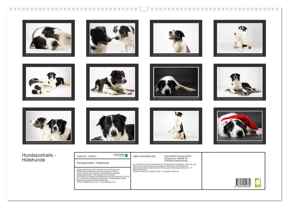 Hundeportraits - Hütehunde (CALVENDO Wandkalender 2025)