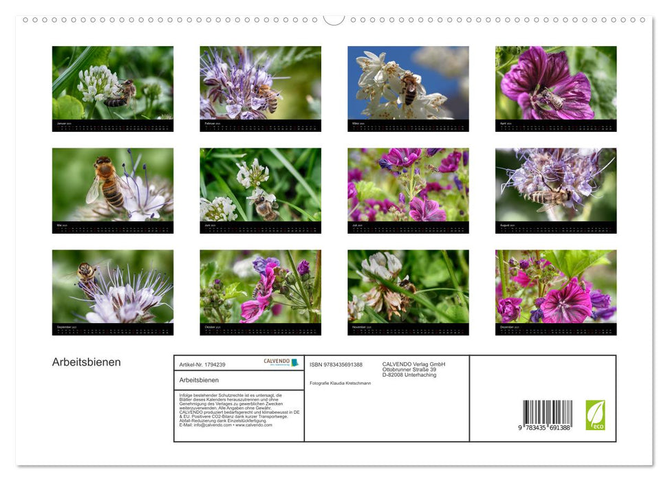 Arbeitsbienen (CALVENDO Premium Wandkalender 2025)