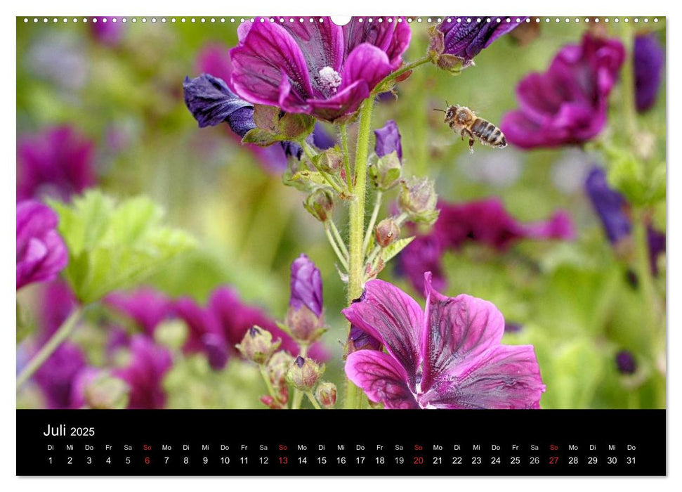 Arbeitsbienen (CALVENDO Premium Wandkalender 2025)