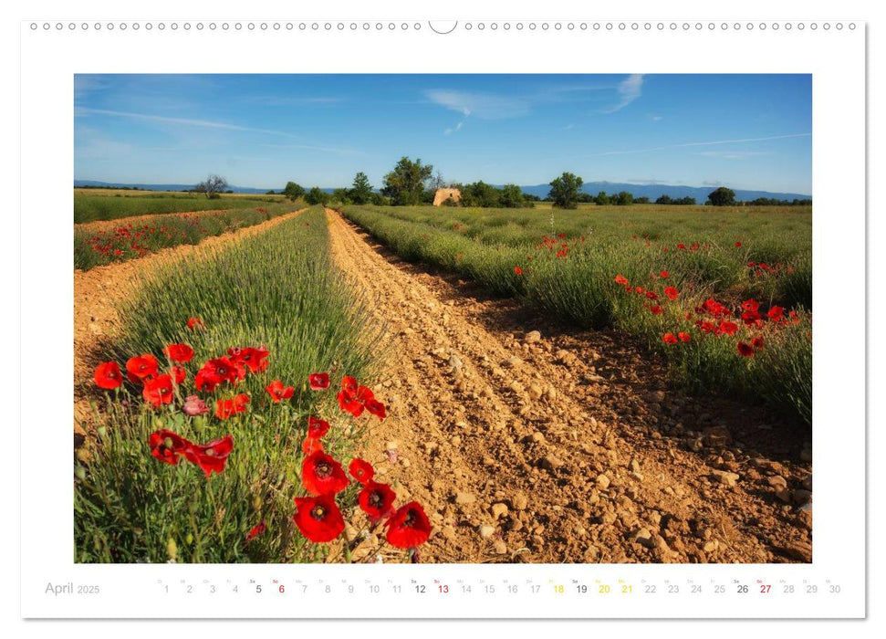 Streifzug durch die Provence (CALVENDO Premium Wandkalender 2025)