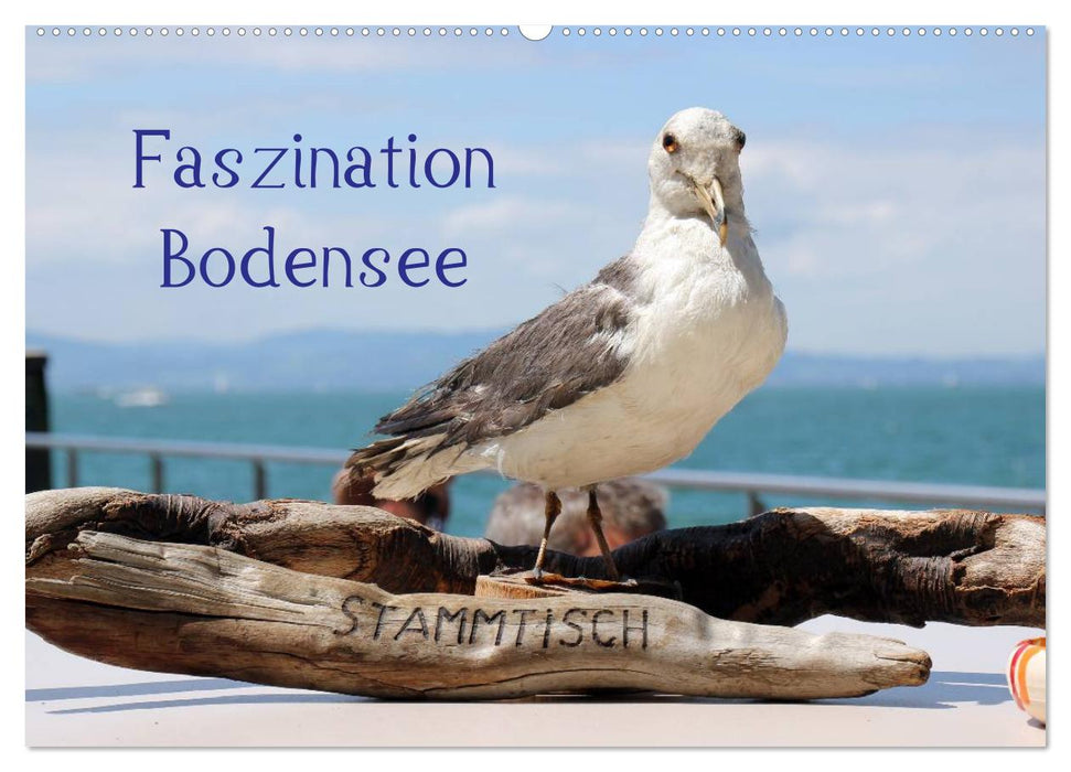 Faszination Bodensee (CALVENDO Wandkalender 2025)