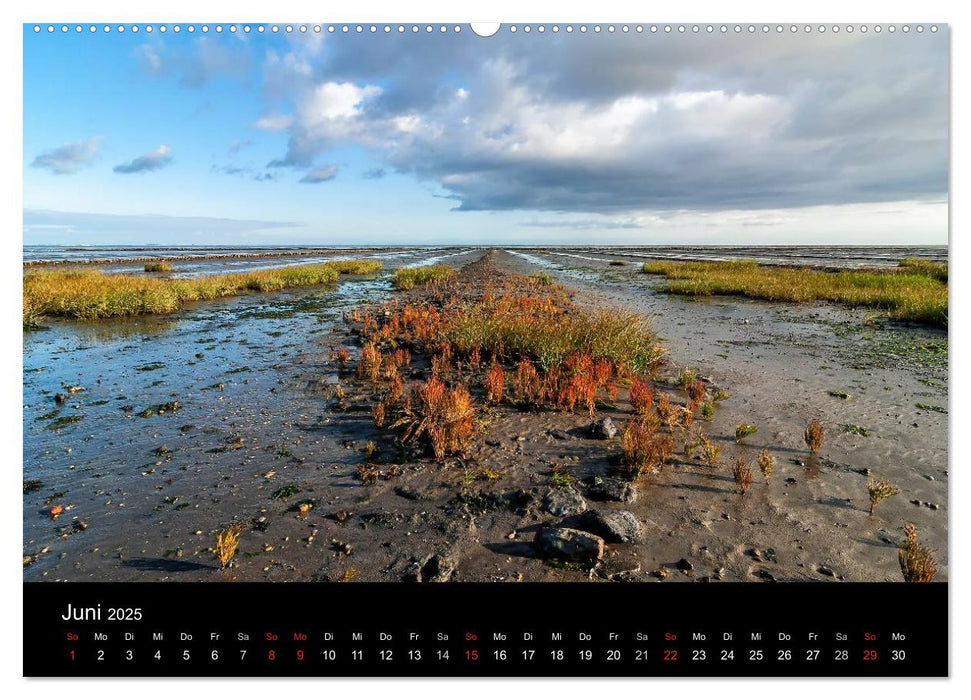 Sylt - Bilder einer Insel (CALVENDO Premium Wandkalender 2025)