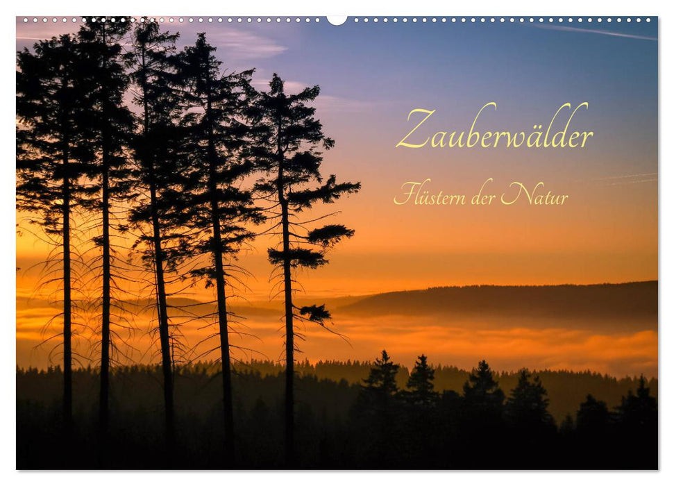 Zauberwälder - Flüstern der Natur (CALVENDO Wandkalender 2025)