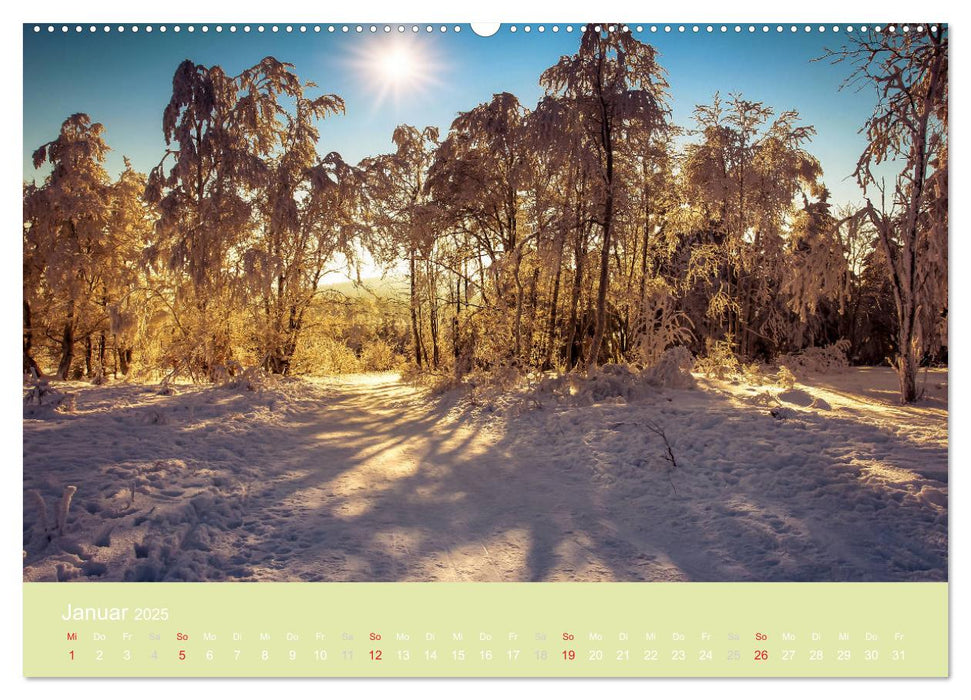 Zauberwälder - Flüstern der Natur (CALVENDO Wandkalender 2025)