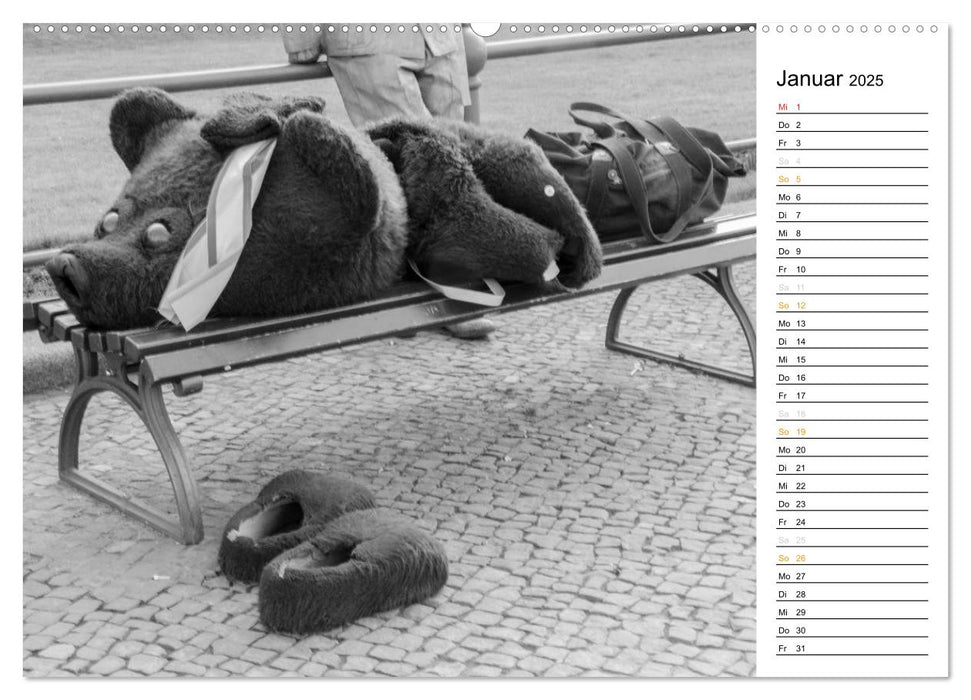 Berliner Straßenfotografie / Geburtstagskalender (CALVENDO Premium Wandkalender 2025)