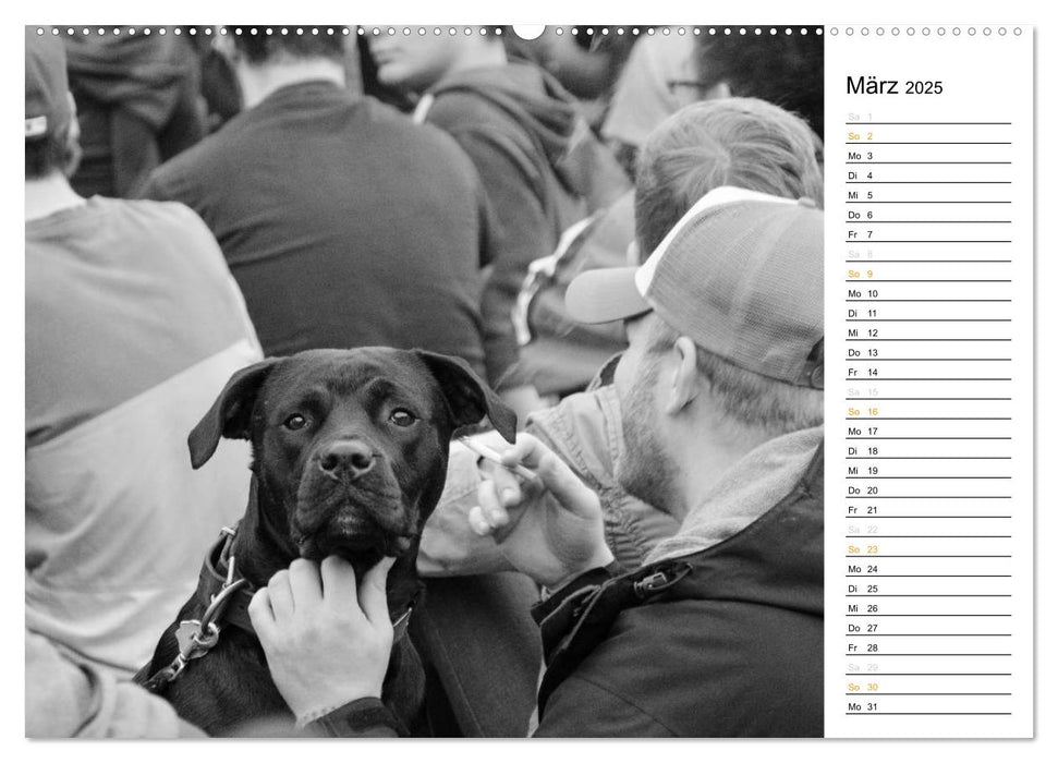 Berliner Straßenfotografie / Geburtstagskalender (CALVENDO Premium Wandkalender 2025)