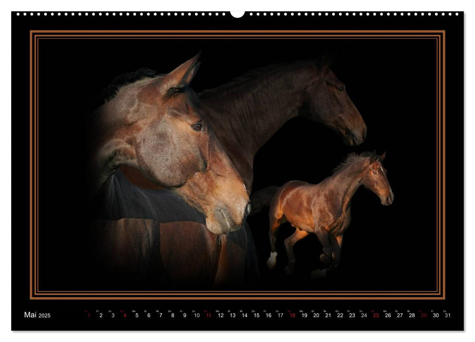 Traumpferde-ART-Collection (CALVENDO Premium Wandkalender 2025)