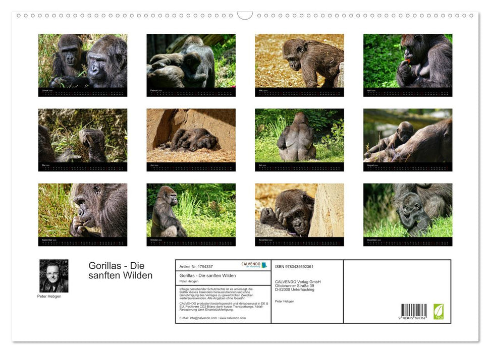 Gorillas - Die sanften Wilden (CALVENDO Wandkalender 2025)