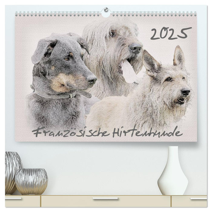 Französische Hirtenhunde 2025 (CALVENDO Premium Wandkalender 2025)