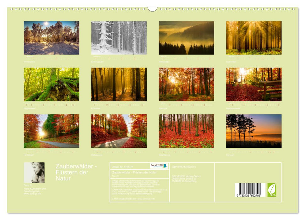 Zauberwälder - Flüstern der Natur (CALVENDO Premium Wandkalender 2025)