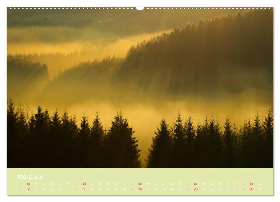 Zauberwälder - Flüstern der Natur (CALVENDO Premium Wandkalender 2025)