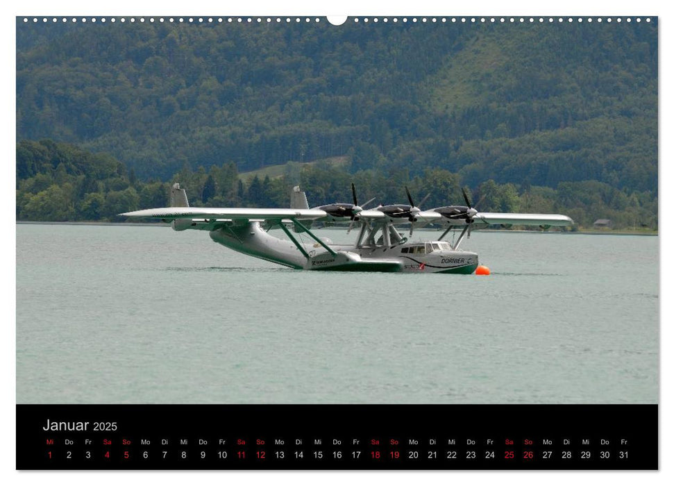 DO-24 ATT (CALVENDO Premium Wandkalender 2025)