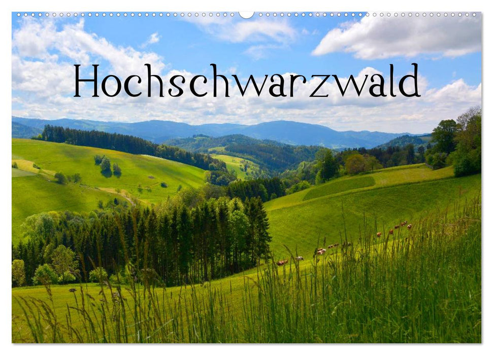 Hochschwarzwald (CALVENDO Wandkalender 2025)