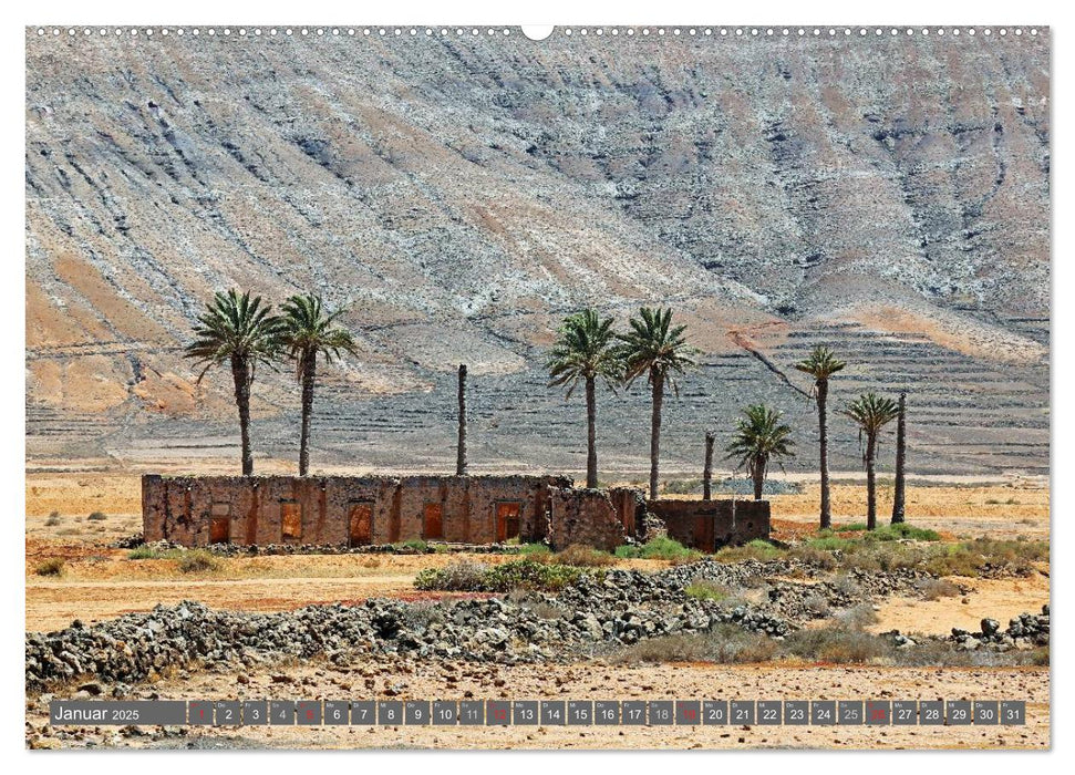 Urlaub auf Fuerteventura (CALVENDO Premium Wandkalender 2025)