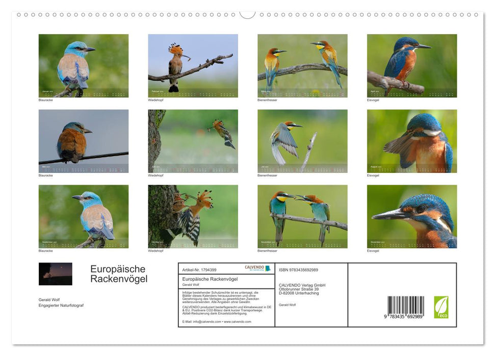 Europäische Rackenvögel (CALVENDO Premium Wandkalender 2025)