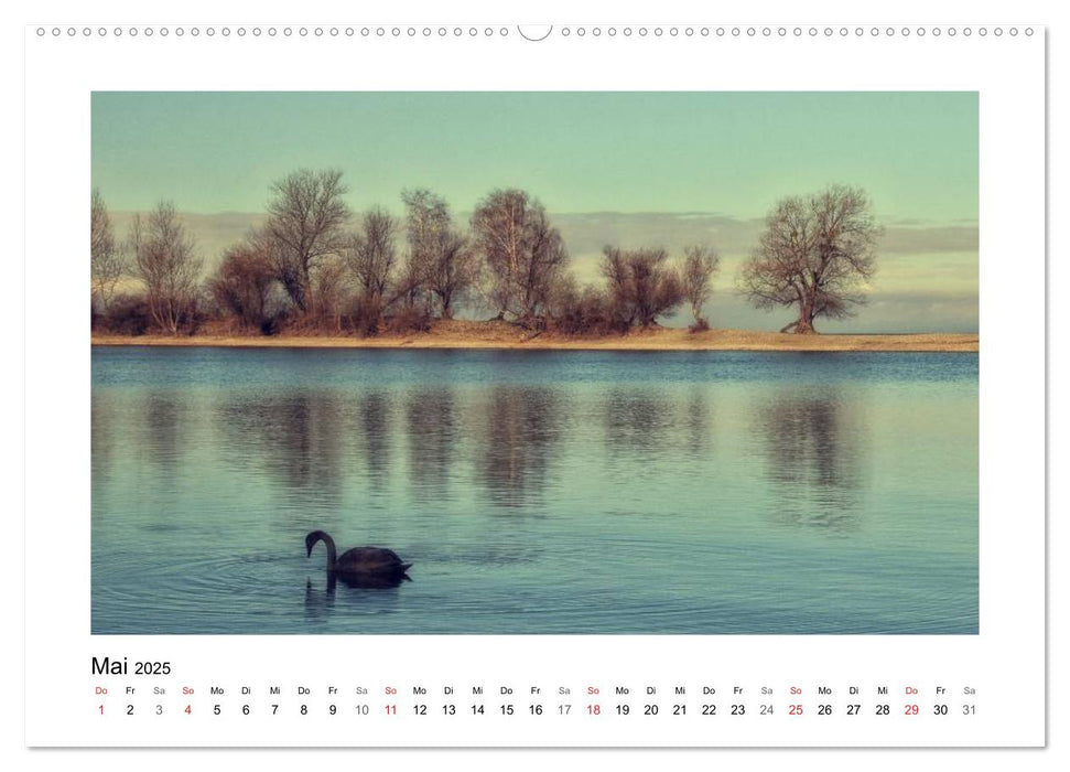 Vorarlberg Bodensee-Traum2025 (CALVENDO Premium Wandkalender 2025)