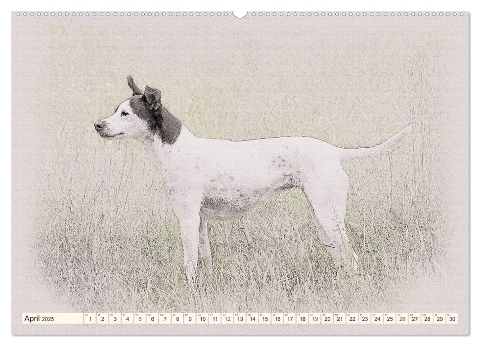 Bodeguero Andaluz 2025 (CALVENDO Premium Wandkalender 2025)