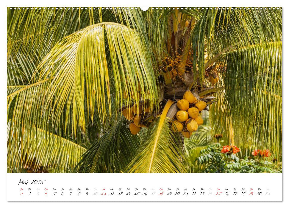 Mauritius - Insel zum Durchatmen (CALVENDO Wandkalender 2025)