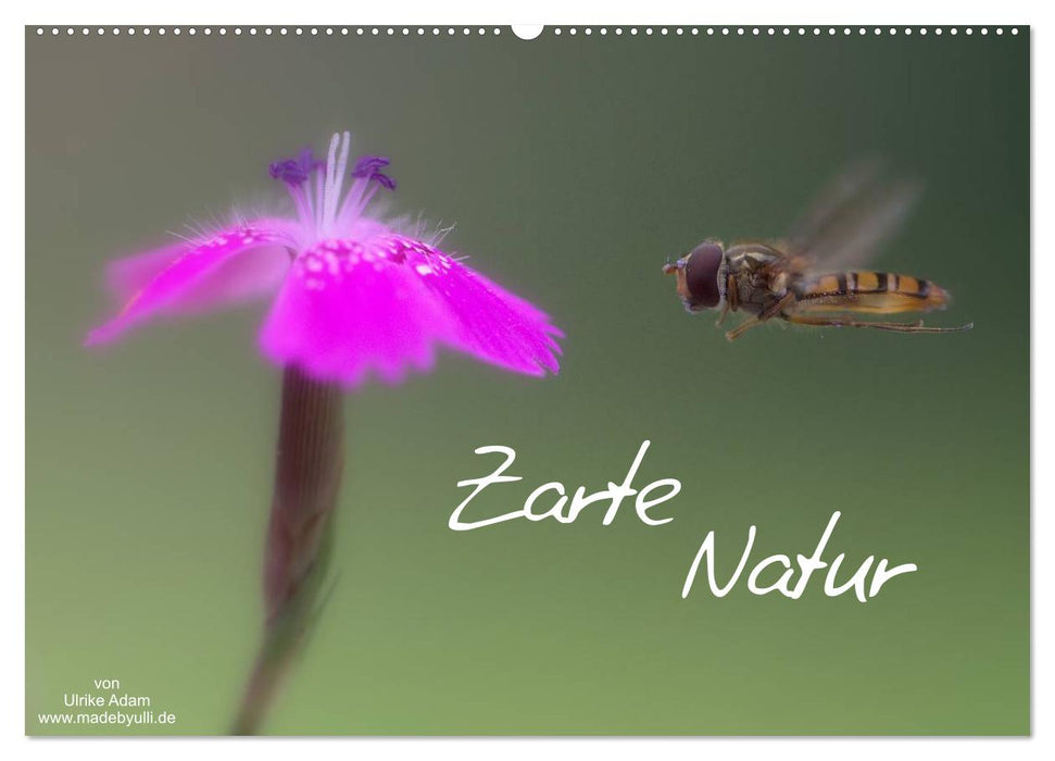 Zarte Natur 2025 (CALVENDO Wandkalender 2025)