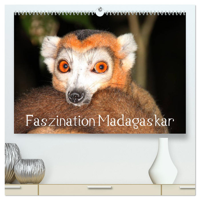 Faszination Madagaskar (CALVENDO Premium Wandkalender 2025)