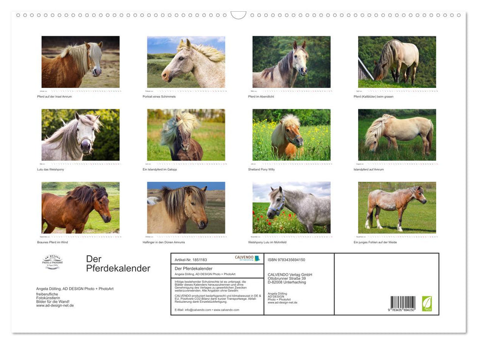 Der Pferdekalender (CALVENDO Wandkalender 2025)