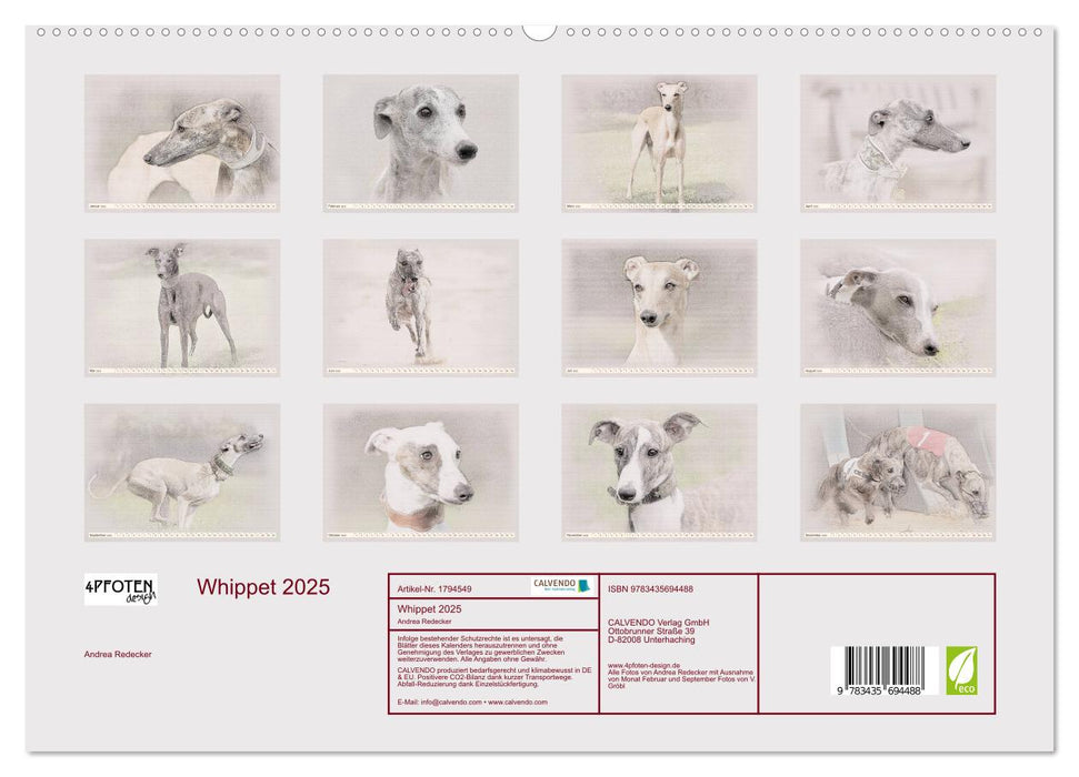 Whippet 2025 (CALVENDO Premium Wandkalender 2025)