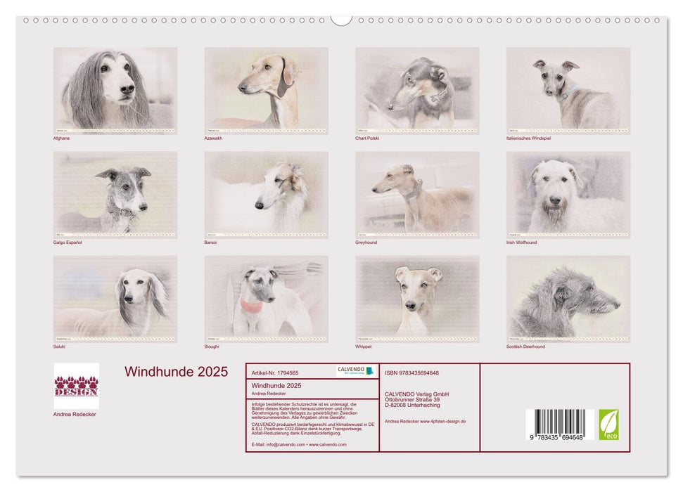 Windhunde 2025 (CALVENDO Premium Wandkalender 2025)