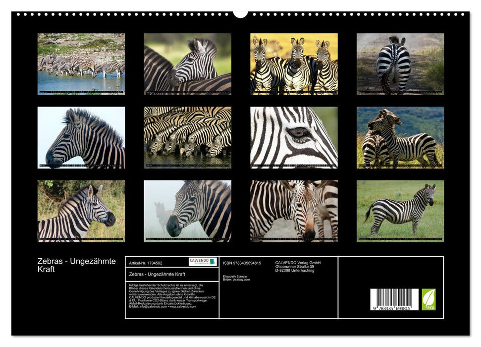 Zebras - Ungezähmte Kraft (CALVENDO Premium Wandkalender 2025)